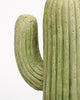 French Vintage Cactus Sculpture