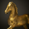 Vintage Bronze Horse Statue after da Vinci