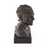 French Vintage Bronze Jean Mermoz Bust by Charles Ruchot