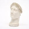French Art Deco Period Head of Diana
