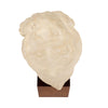 Art Deco Period, French Bust of Hygieia, Wood and Plaster, Circa 1940