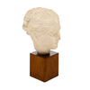 Art Deco Period, French Bust of Hygieia, Wood and Plaster, Circa 1940