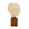 Art Deco Period, French Bust of Hygieia, Wood and Plaster, Circa 1940