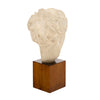 Art Deco Period, French Bust of Hygieia, Wood and Plaster, Circa 1940