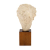 Art Deco Period, French Bust of Hygieia, Wood and Plaster, Circa 1940