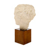 Art Deco Period, French Bust of Hygieia, Wood and Plaster, Circa 1940