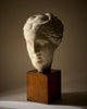 Art Deco Period, French Bust of Hygieia, Wood and Plaster, Circa 1940