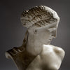 French Art Deco Period Bust of Venus of Arles, Circa 1920