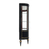 French Louis XVI Style Ebonized Curved Glass Vitrine Display Cabinet, Circa 1900
