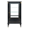 Louis XVI French Ebonized Bookcase / Vitrine