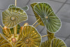 Murano Glass Green Disc Chandelier